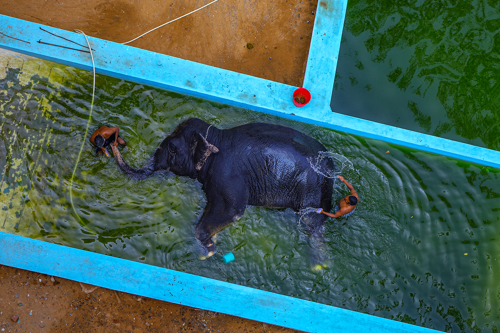 365 | Tamil Nadu 2023